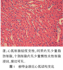 【最新發(fā)表文獻(xiàn)】三種心肌保護(hù)液在兒童心臟手術(shù)中的應(yīng)用觀察